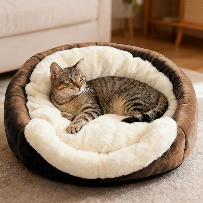 Lcybem Cat Beds for Indoor Cats - Rabbit-Shaped Cat Cave Bed with Hanging Toy,Super Soft Calming Pet Bed for Kitten,Small Dog