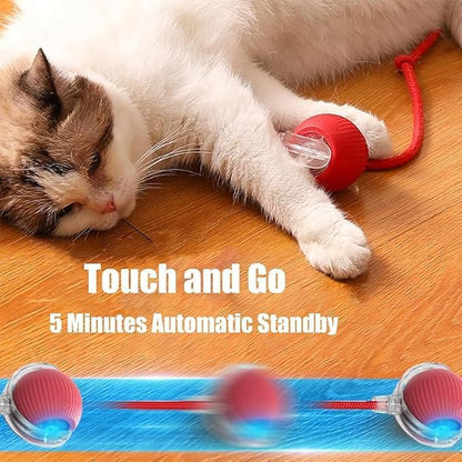 2 Packs New Electric Dog Ball Toy for Cat,360° Smart Automatic Interactive Rolling Dog Smart Pet Toy Ball,Gift for Kids
