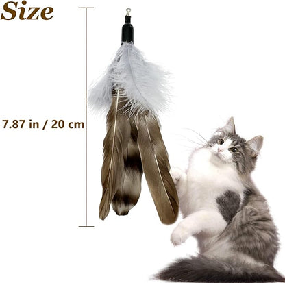 Cat Feather Toy Refills, 8 Pieces Natural Da Bird Feathers Refills, Cat Wand Replacement Feathers for Cat Toys