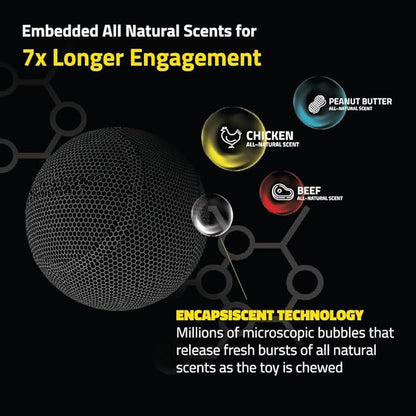 Playology Dog Toys | Squeaky Chew Ball - Bouncy Durable Floating Fetch Ball for Dogs, Value 2-Pack | Medium Beef Scented Toy - Easy to Clean and Made from Non Toxic Materials