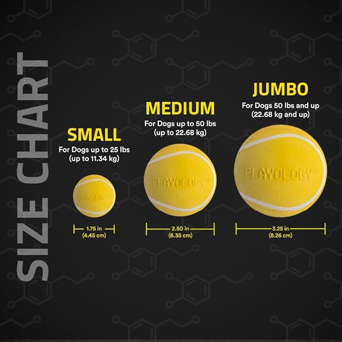 Playology Dog Toys | Squeaky Chew Ball - Bouncy Durable Floating Fetch Ball for Dogs | Medium Chicken Scented Toy - Easy to Clean and Made from Non Toxic Materials