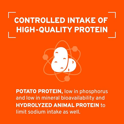 Forza10 - Cat Food, Limited Ingredient Cat Food for Kidney Support, Non-GMO, Fish Flavor, Crafted for Adults, Made in Italy (0.88 lb)