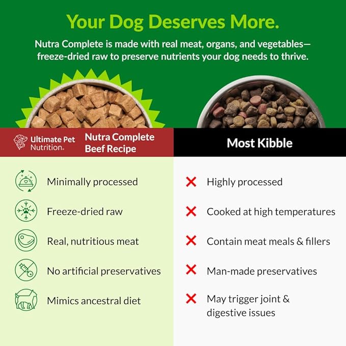 ULTIMATE PET NUTRITION Nutra Complete, 100% Freeze Dried Raw Veterinarian Formulated Dog Food with Antioxidants Prebiotics and Amino Acids (1 Pound, Beef)