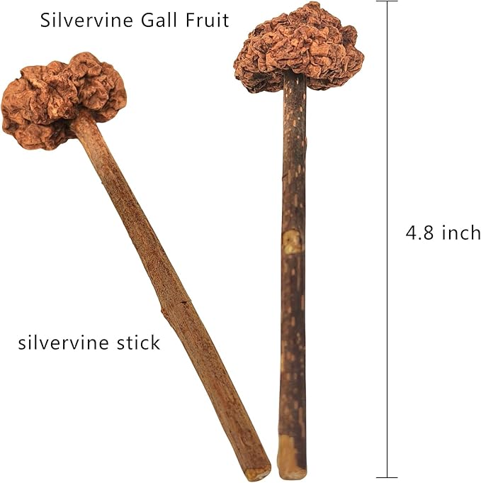 4 PCS Silvervine Stick Cat Toy with Gall Fruit – Natural Lollipop-Shaped Matatabi Chew Toy for Cats – Catnip Alternative for Teeth Cleaning, Anxiety Relief & Interactive Play – 4.8" Cat Dental Toy
