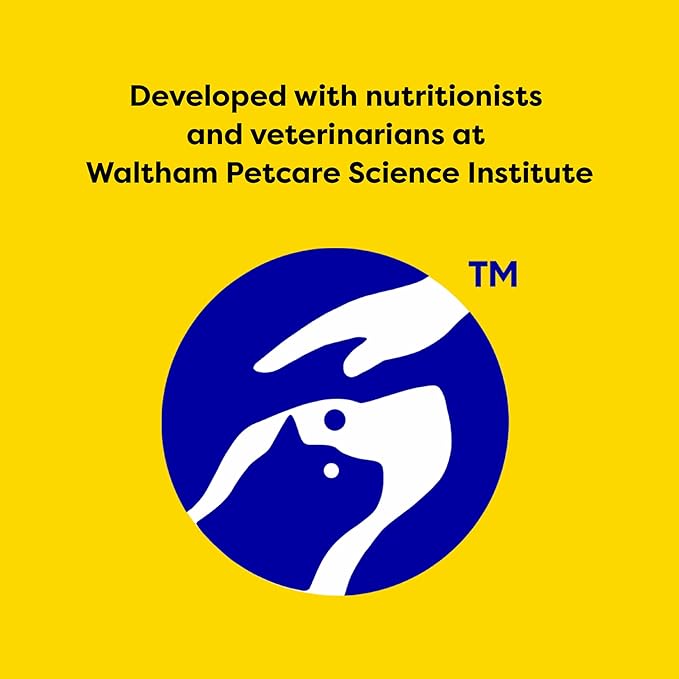 Temptations Classic Crunchy and Soft Cat Treats Tasty Chicken Flavor, 16 oz. Tub