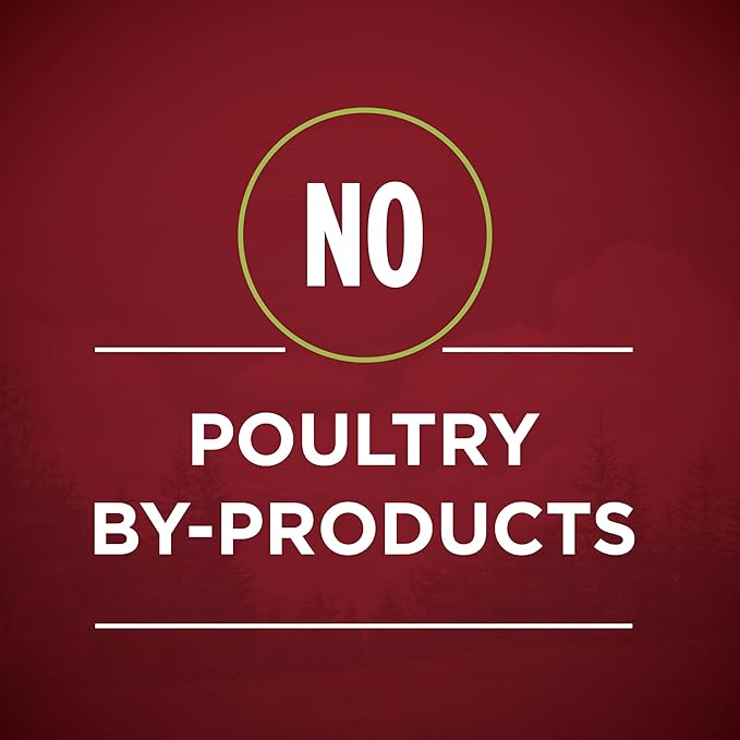 Purina ONE Wet Dog Food True Instinct Classic Ground Grain-Free Formula With Real Chicken and Duck High Protein Dog Food - (Pack of 12) 13 oz. Cans