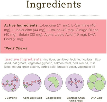 Herbsmith Senior Dog Wisdom – Dog Dementia Supplement – DHA for Senior Dog Brain Health - Senior Supplement for Dogs- 75g