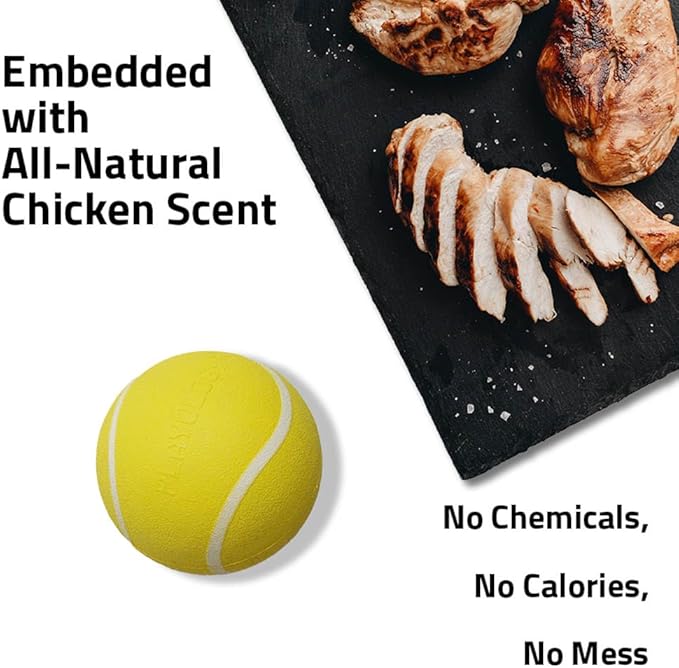 Playology Dog Toys | Squeaky Chew Ball - Bouncy Durable Floating Fetch Ball for Dogs, Value 2-Pack | Medium Chicken Scented Toy - Easy to Clean and Made from Non Toxic Materials