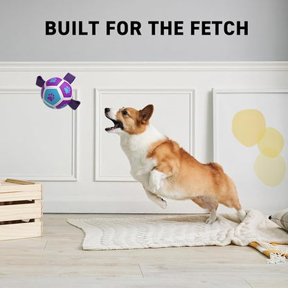 QDAN Small Dog Toys, Puppy Balls, Dog Balls with Straps for Small Breed, Soccer Ball for Dogs, Puppy Toys, Dog Birthday Gift (Purple Blue, 3.5 inch)