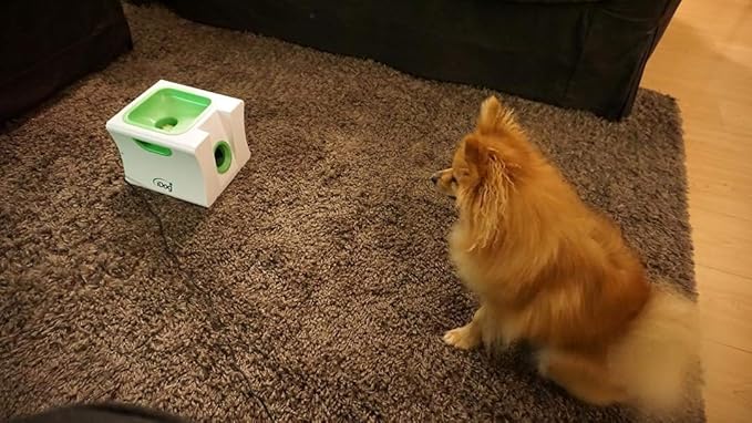 Small Interactive Ball Launcher with Rechargeable, Automatic Dog Ball Thrower for Mini Dog (Small Machine with 3 Balls)