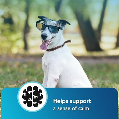 iHeartDogs Hemp Calming & Mobility Chews for Dogs - Dog Anxiety Relief Bites with Hemp - Bacon Flavored Dog Calming Treats for Anxiety, Stress, & Joint Movement