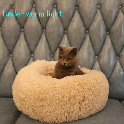 BODISEINT Modern Soft Plush Round Pet Bed for Cats or Small Dogs, Mini Medium Sized Dog Cat Bed Self Warming Autumn Winter Indoor Snooze Sleeping Cozy Kitty Teddy Kennel (24'' D x 8'' H, Champagne)