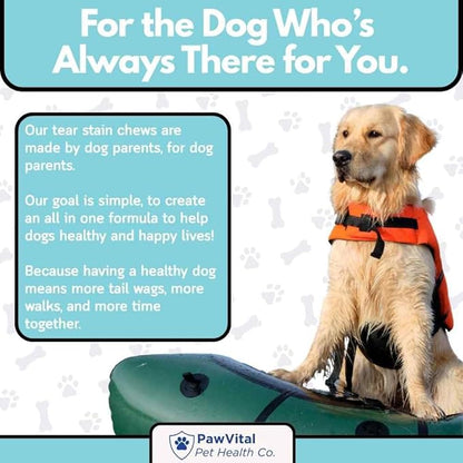 Tear Stain Chews for Dogs – Natural Tear Stain Remover & Eye Health Supplement with Cranberry, Lutein & Eyebright – Reduces Tear Stains, Supports Vision & Promotes Clear Eyes – 90 Soft Chews