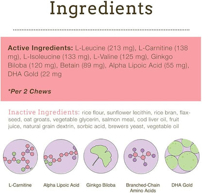 Herbsmith Senior Dog Wisdom – Dog Dementia Supplement – DHA for Senior Dog Brain Health - Senior Supplement for Dogs- 60ct Large Chews