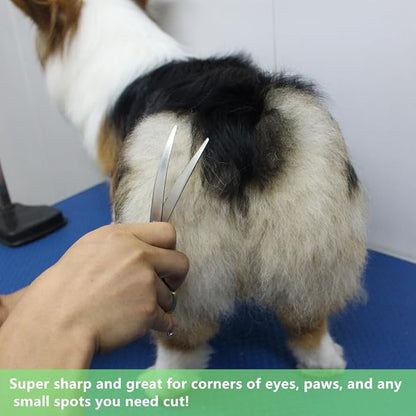 HASHIMOTO Curved Scissors for Dog Grooming, Dog Grooming Scissors Curved, Extremely Light Weight, 6.5 inch, 30 Degree of Curved Blade, Matt Surface.