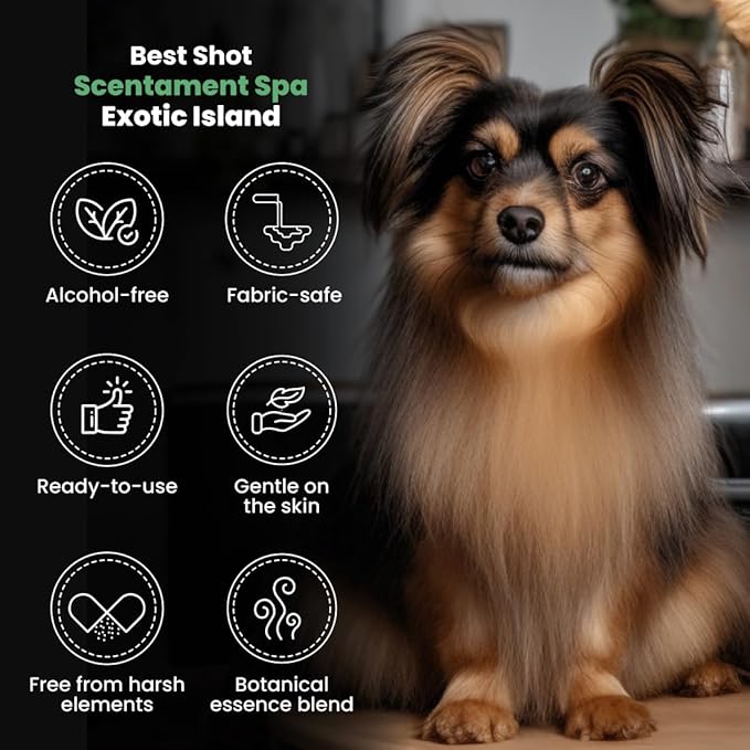 Best Shot Scentament Spa Botanical Body Splash, Detangler Spray, Hypoallergenic Body Spray for Pets, Cat and Dog Cologne Spray, Exotic Island, 8 Oz.