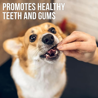 Sweet Potato Jerky Chicken Wraps - Dog Treats Human Grade - Grain Free Organic Meat - All Natural High Protein Dried Strips - Best Chews for Small & Large Dogs - Bulk Soft Pack Made for USA 24 Oz