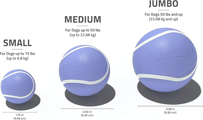 Playology Dog Toys | Squeaky Chew Ball - Bouncy Durable Floating Fetch Ball for Dogs, Value 3-Pack | Small Blueberry Scented Toy - Easy to Clean and Made from Non Toxic Materials