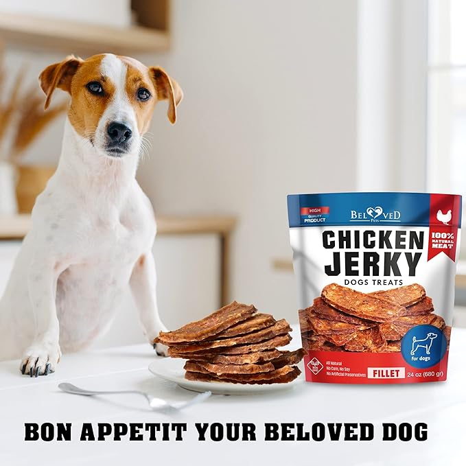 Chicken Jerky Dog Treats Human Grade - High Protein Meat - All Natural High Protein Dried Strips - Best Chews Sweet Potato for Training Small & Large Dogs - Made for USA 24 Oz. (Chicken Fillet)