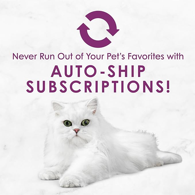 Purina Fancy Feast Savory Centers Wet Cat Food Pate Variety Pack With Chicken, Salmon, Beef, and Tuna Pate with Gravy Center - (2 Packs of 12) 3 oz. Pull-Top Cans