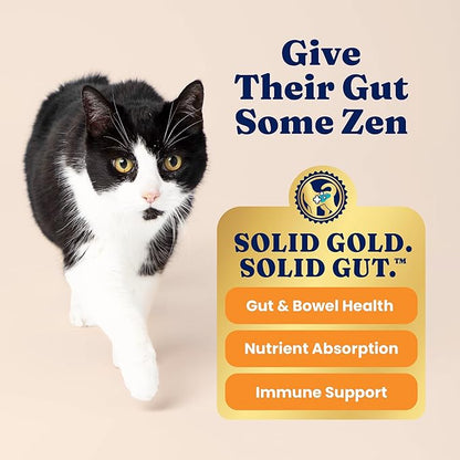 Solid Gold Sensitive Stomach Dry Cat Food - Grain Free & Gluten Free Sensitive Stomach Cat Food for Indoor Adult & Senior Cats - Dry Kibble for Cats w/Quail, Pumpkin & Probiotics for Gut Health - 3lb