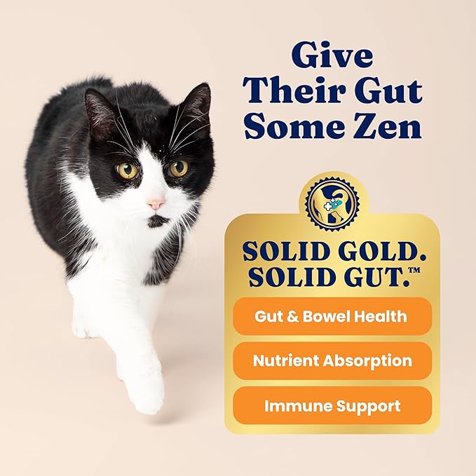 Solid Gold Indoor Dry Cat Food - Grain Free & Gluten Free - Chicken Cat Food Dry Kibble for Indoor Cats w/Probiotics & Fiber for Gut Health - Sensitive Stomach & Hairball Support for Adult Cats -12LB