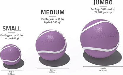 Playology Dog Toys | Squeaky Chew Ball - Bouncy Durable Floating Fetch Ball for Dogs, Value 3-Pack | Small Bacon Scented Toy - Easy to Clean and Made from Non Toxic Materials