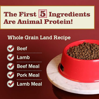 Redbarn Whole Grain Adult Dry Dog Food Kibble - Land Beef Recipe - Made in USA No Chicken Recipe with Functional Ingredients to Support Healthy Heart, Skin, Coat, Immunity & Digestion - 4lb