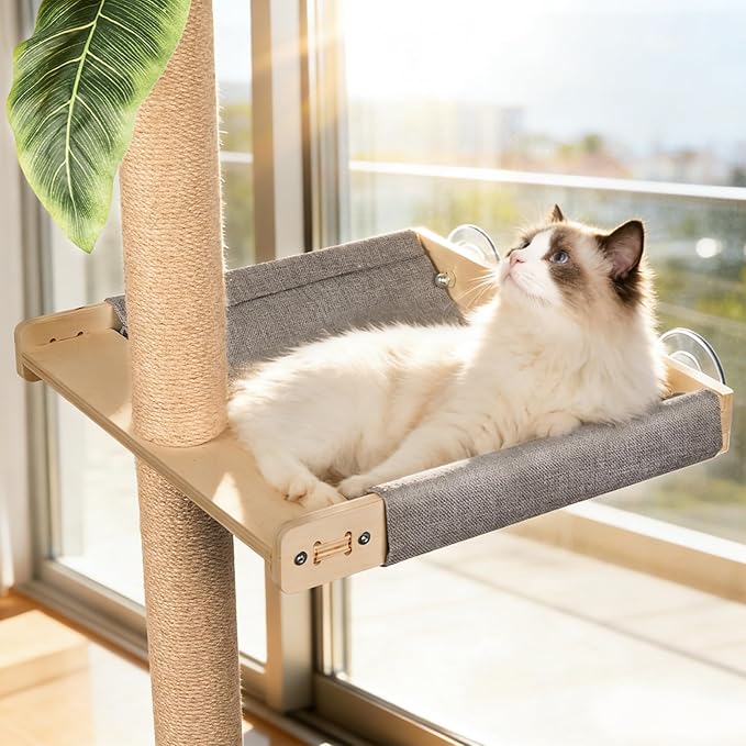 XiaZ Cat Window Perch with Tall Scratching Post, 58" Cats Window Hammock with Cat Condo, Multi-Level Cats Scratching Post for Climbing, Sleeping & Watching Birds