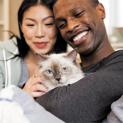 Iams IAMS PROACTIVE HEALTH Adult Sensitive Digestion & Skin Dry Cat Food with Real Turkey Cat Kibble, 3 lb. Bag