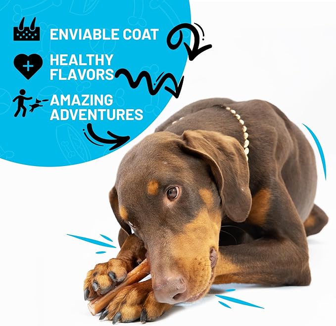 Sitka Farms Bully Sticks XL 6 inch Premium - 22 Count - Single Ingredient Treat for Small, Medium Dogs, Aggressive Chewers for Puppies - Natural Grass Fed High Protein Long Lasting Treats