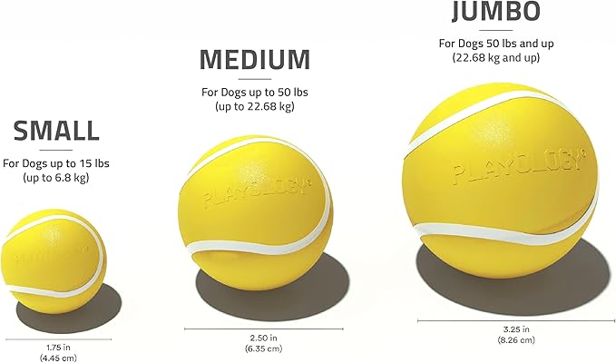 Playology Dog Toys | Squeaky Chew Ball - Bouncy Durable Floating Fetch Ball for Dogs, Value 3-Pack | Small Chicken Scented Toy - Easy to Clean and Made from Non Toxic Materials