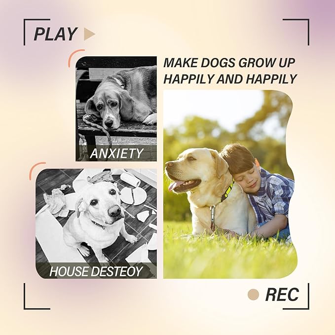 PTLSY Automatic Dog Ball Launcher - Interactive Puppy Thrower Machine for Small & Medium Dogs, 3 Balls (Inclusive of 2 inch) & White Launcher with 6pc Balls