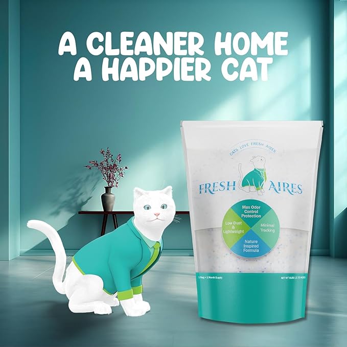 Silica Crystal Cat Litter | Unscented, Lightweight, Non-Clumping, Low Dust & Tracking, Long-Lasting Odor Control for Cats and Kittens | 6 lb Bag of Crystal Litter