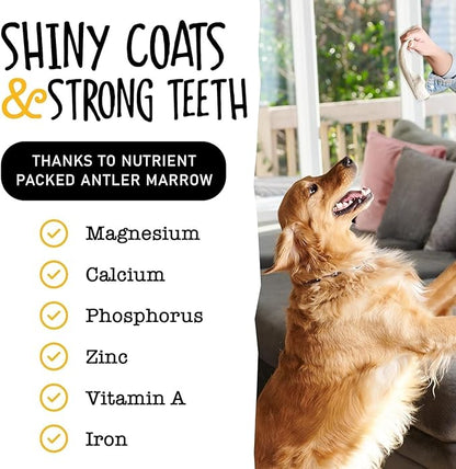 Snatchers Deer Antlers for Mild to Aggressive Chewers – Durable, Naturally Shed Antlers for Dogs Processed in The USA, No Additives (Large, 7-8", 1 Count)