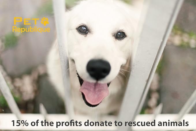 Pet Republique Dog Toothbrush Set of 3 – Dual Headed Dental Hygiene Brushes for Small to Large Dogs, Cats