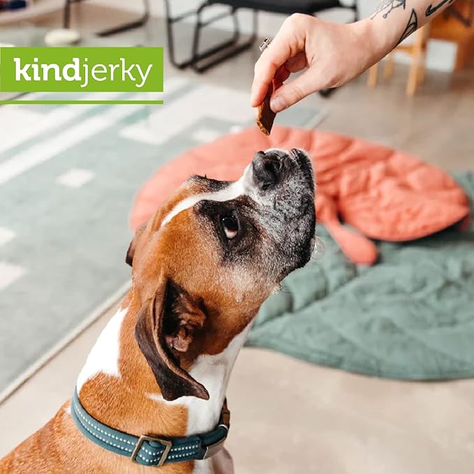 V-dog Kind Jerky - 100% Vegan Jerky Dog Treats - Plant Based Protein and Superfoods - 8 Ounce - All Natural - Made in The USA