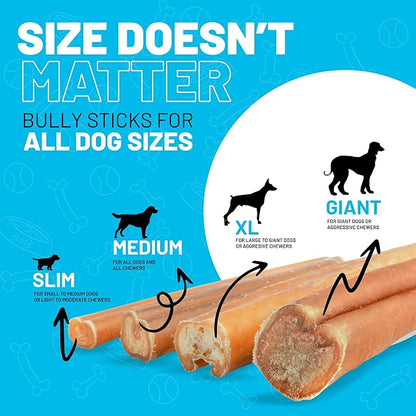 Sitka Farms Bully Sticks - Long Lasting Natural Chew Treats for Dogs (6 Inch, 10 Count)