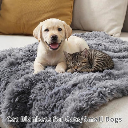 Cat Blanket for Indoor Cats Ultra-Soft Plush Small Blanket Machine Washable Cozy Calming for Kittens Cats Bed Couch Car 21"x18" White