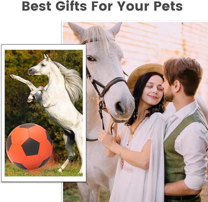 Diman Herding Ball for Dogs: 25 Inch Horse Balls for Outdoor Play, Large Dog Toys Balls for Australian Shepherd, Dogs or Horses, Orange Black