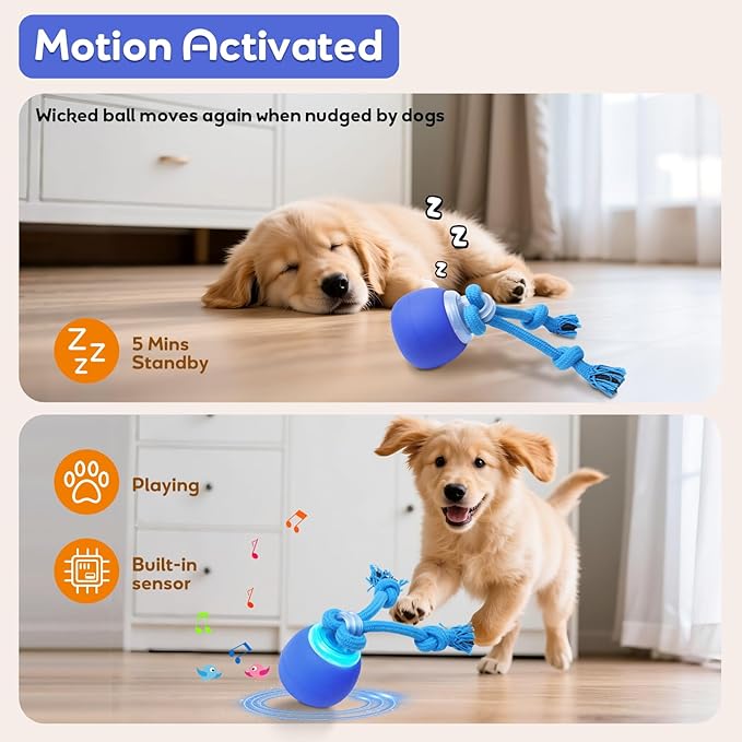 Interactive Dog Toys Touch Activated Bouncing & Jumping Dog Ball with Rope, Squeaky Doggie Toys to Keep Them Busy