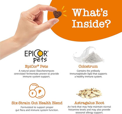 Zesty Paws Dog Allergy Relief Chews, Dog Probiotics for Itchy Skin and Ears, Lamb, 90ct