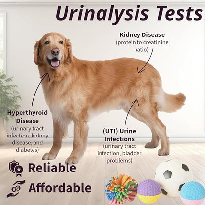 One Step Pet Urine Testing Strips, 50 x Urinalysis Parameter Tests for Dogs, Cats, Vets, Accurate Testing for Veterinarians, Detects UTI, Diabetes, Bladder, Kidney, Liver, SG, pH, Glucose