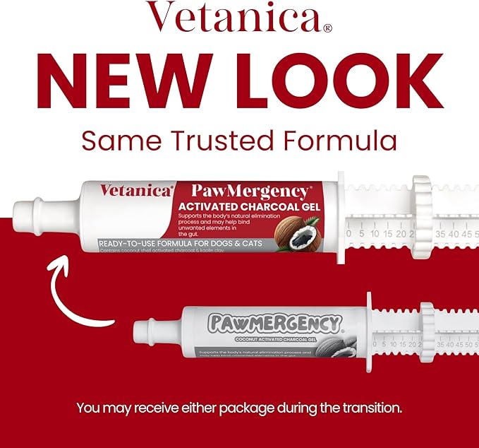 PawMergency – Activated Charcoal First Aid Kit Emergency Rescue for Dogs, Cats, Puppy & Pet Poisoning Kit, Camping Survival Remedy Essential, Oral Anti Diarrhea Digestive Paste Ready to Absorb Toxins