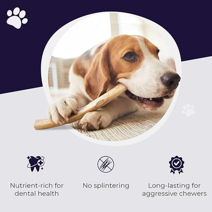 Devil Dog Pet Co. Elk Antlers for Dogs, Small 4"+, 2 Pack, Grade A Long Lasting Chew for Aggressive Chewers, Premium USA Naturally Shed Antler – Healthy, No Odor, Durable Dog Chew