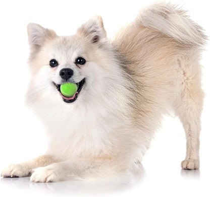 Playology Dog Toys | Squeaky Chew Ball - Bouncy Durable Floating Fetch Ball for Dogs, Value 3-Pack | Small Sweet Potato Scented Toy - Easy to Clean and Made from Non Toxic Materials