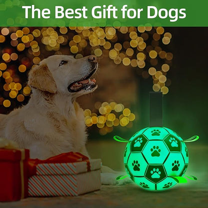 QDAN Glow in The Dark Dog Toys Soccer Ball with Straps, Outdoor Interactive Dog Toys Puppy Birthday Gifts, Dog Tug Water Toy, Light Up Dog Balls for Small & Medium Dogs（6 Inch Size 2）