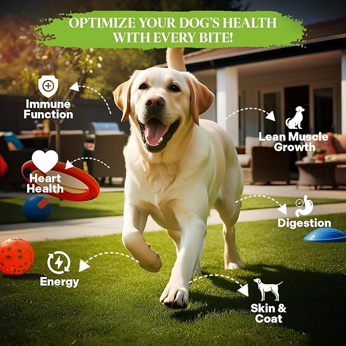 Healthy Dogma PetMix Dehydrated Dog Food for Allergies, Joint Support & Mobility – USA Made Raw, Homemade Dog Food (Original, 2 lbs)