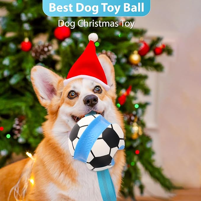 Dog Toys Balls, Interactive Dog Soccer Ball with Pull Straps, Bouncing Water Toy, Durable Training Toy for Small Medium Pets, Puppy Toy for Indoor Outdoor Play