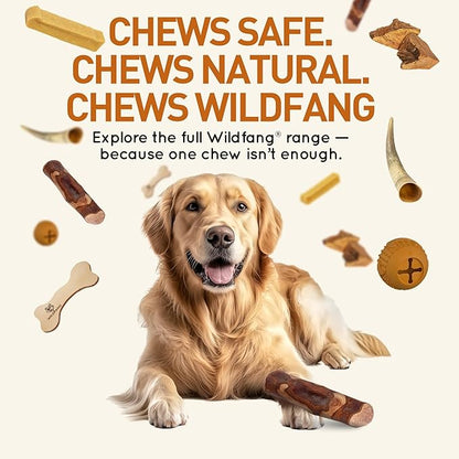 Wildfang® Olive Wood Chewing Sticks for Dogs, Large - Tough Chew Toys for Aggressive Chewers, Puppy Chew Toys for Teething, Training for Chewing Muscles, Olive Wood Stick for Dog (Over 55lbs), 3pack